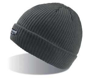 Atlantis AT102 - Beanie with Thinsulate Lining